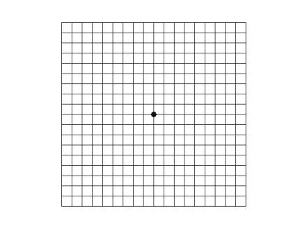 Amsler Grid Test
