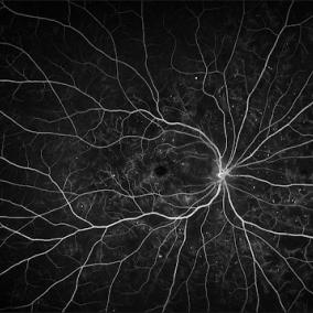 Farzad Eye Institute photo
