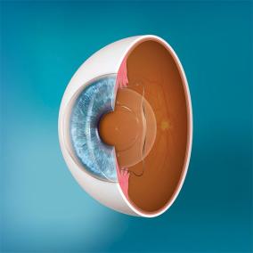 Beach Eye Care photo