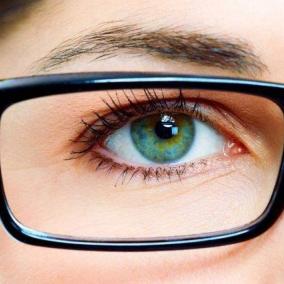 Berryessa Optometry photo