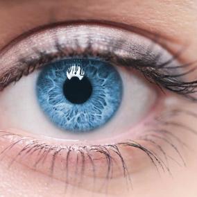 Cleveland Eye Care & Surgery, Inc. photo