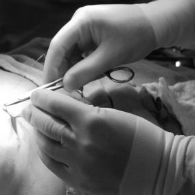Danbury Eyelid & Facial Cosmetic Center photo