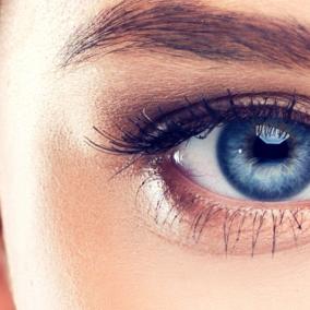 Edina Eye Clinic: Meiusi Rhondi S MD photo
