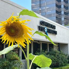 Eye Care & Surgery Center: Mc Kinney Danny photo