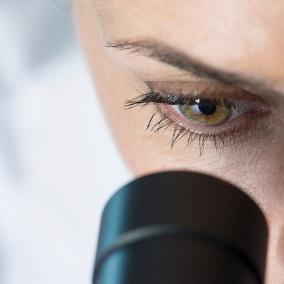 Frisco Family Eye Care photo