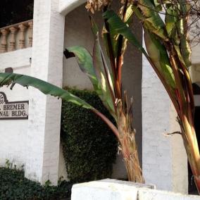 Martin Ophthalmology Center photo