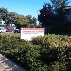 Stanford Eye Center: Wang Gloria W MD photo