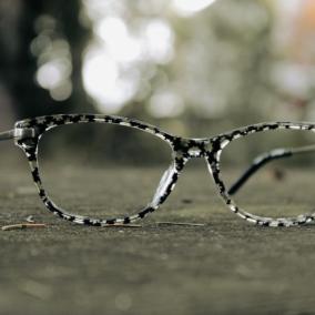 Testa Vision Source photo