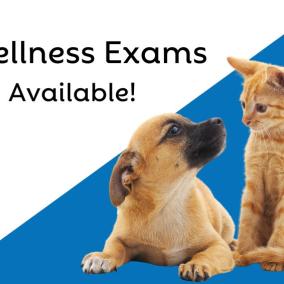 University Place Veterinary Hospital photo