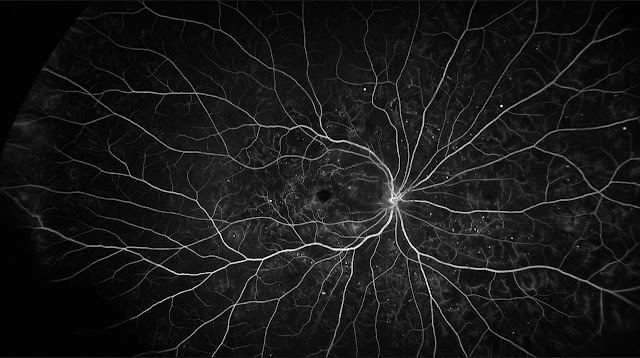 Farzad Eye Institute photo