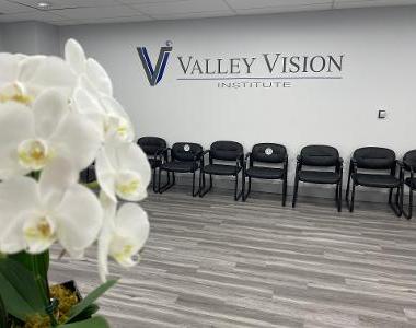 Valley Vision Institute photo