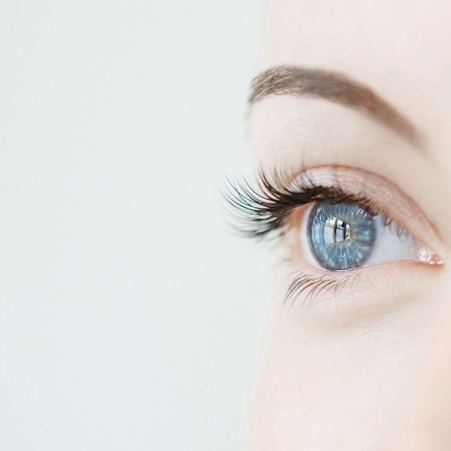 Envision Eye Specialists photo