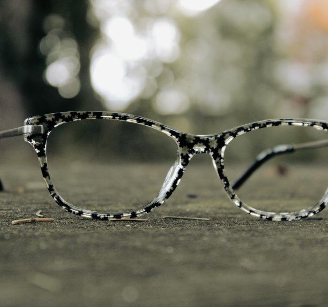 Testa Vision Source photo
