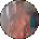Whitney Bailey Avatar