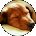 Debra Jane Avatar