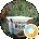 c harry Avatar