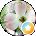 Ingrid L Avatar