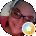 Tia York Avatar