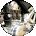 scott parsons Avatar