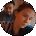 Sidnee Fayfitch Avatar
