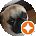 pomps da pug Avatar