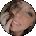 Molly Cox Avatar