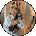 Rachel McClure Avatar