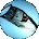 Shawn Engelman Avatar