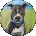 Nancy Gilley Avatar