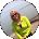Sherry Catron Avatar