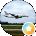 Flymia 17 Avatar