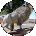 H Hampton Yearwood Avatar