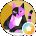 Silver Fox CH Avatar