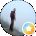 Zack Ciannello Avatar