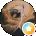 Daniel Amyx Avatar