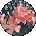 RandomUser11 Avatar