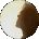 Holiholiholly Avatar