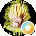 Raseck Serroth Avatar