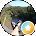 Cathy Schlegel Avatar