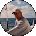 Brenda Chipman Avatar