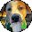 Kelly Laughead Avatar
