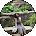 Shala Massey Avatar