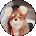 Donna Vanneman Avatar