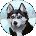 Cynthia Wallum Avatar