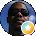 sanga collins Avatar