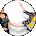 Xaviera Vandermay Avatar