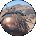 Monica Hendricks Avatar