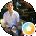 Dennis Tran Avatar