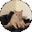 Will Liu Avatar