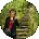 Sally McVeigh Avatar